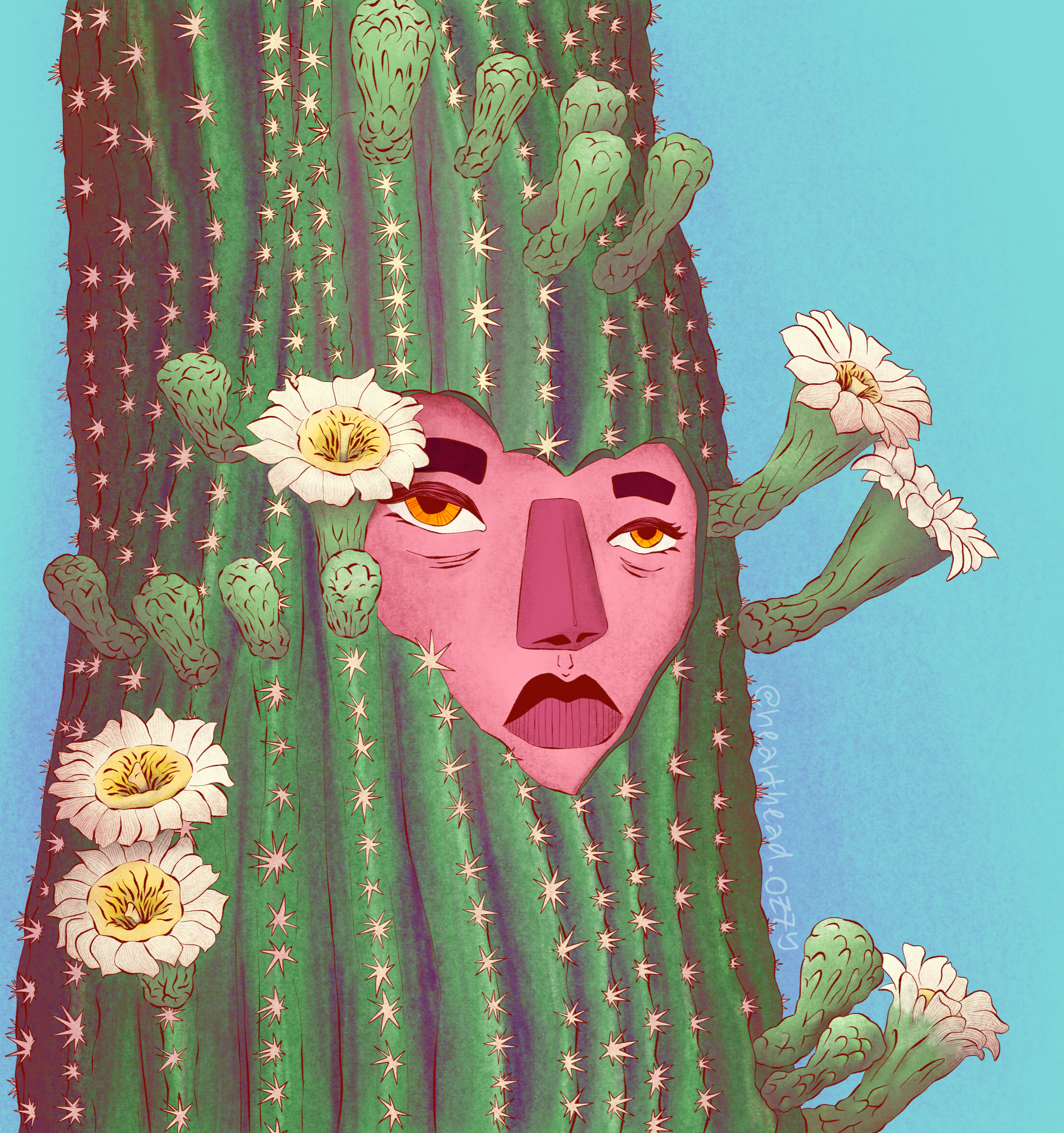 "THORNS_OVER_TENDERNESS"